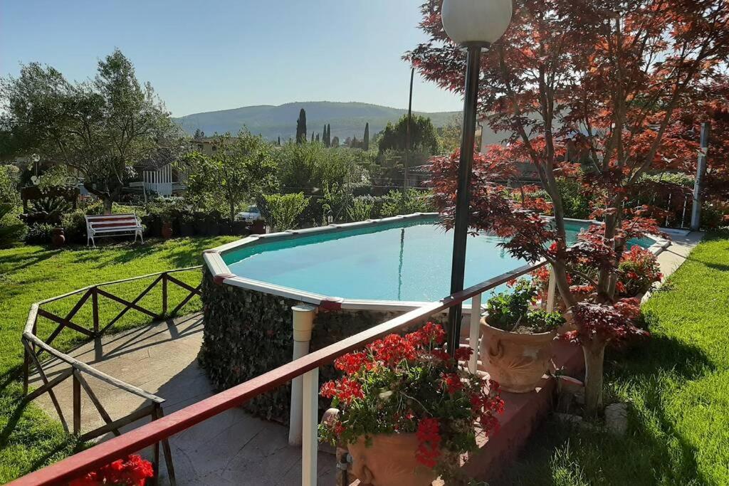 La Cupoletta -Holiday House - Gilda Trevignano Romano Dış mekan fotoğraf